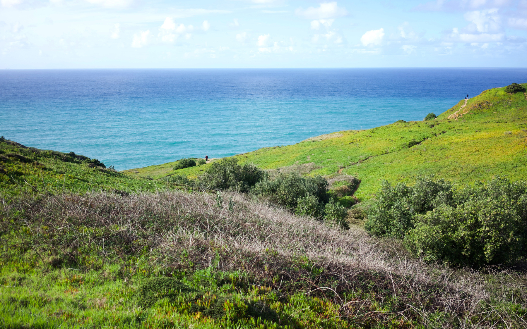 A scenic view of lush green hills leads to a vast, tranquil ocean under a partly cloudy sky.