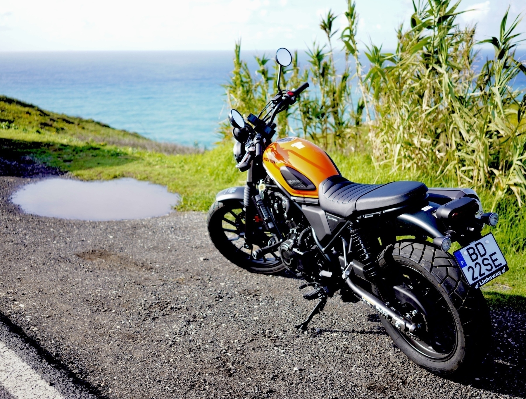 A motorcycle is parked near a puddle on a coastal road, overlooking the ocean and surrounded by greenery.